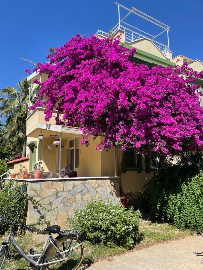 Villa Konak Club Alanya Zewnętrze zdjęcie